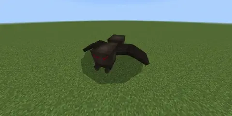 O‘rgimchaklar +
