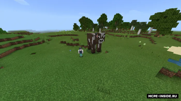 Xaos ++ — Minecraft mod, rasm 1