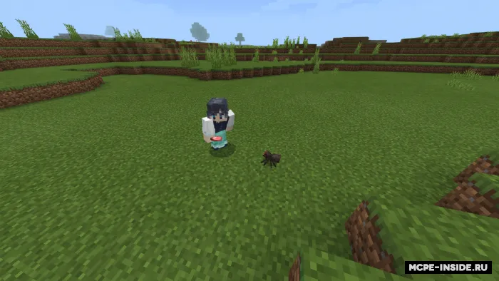 Xaos ++ — Minecraft mod, rasm 4
