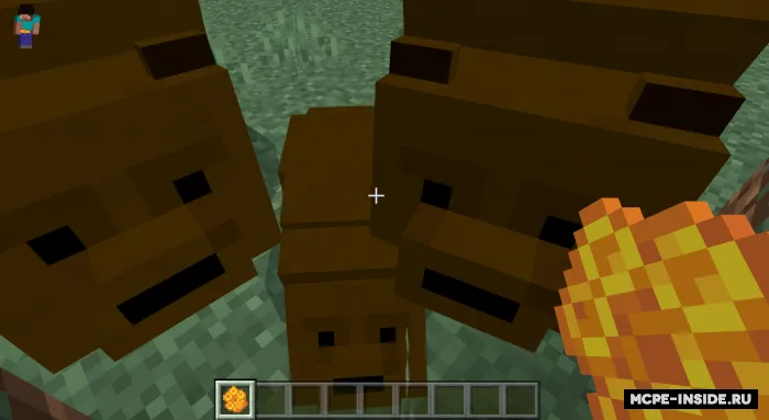 Qo‘ng‘ir ayiqlar — Minecraft mod, rasm 3