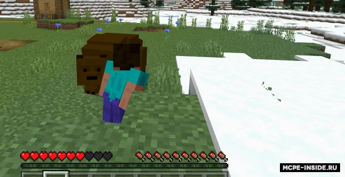 Qo‘ng‘ir ayiqlar — Minecraft mod, rasm 4
