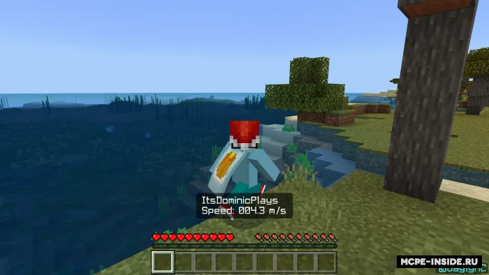 Spidometr — Minecraft mod, rasm 1