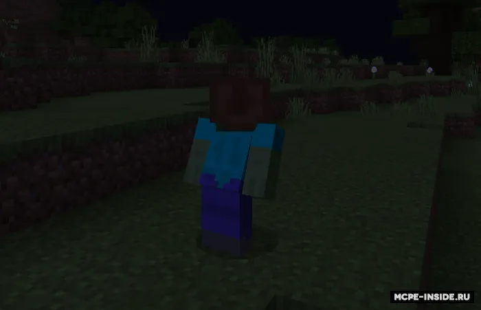 Zombi hayoti — Minecraft mod, rasm 4