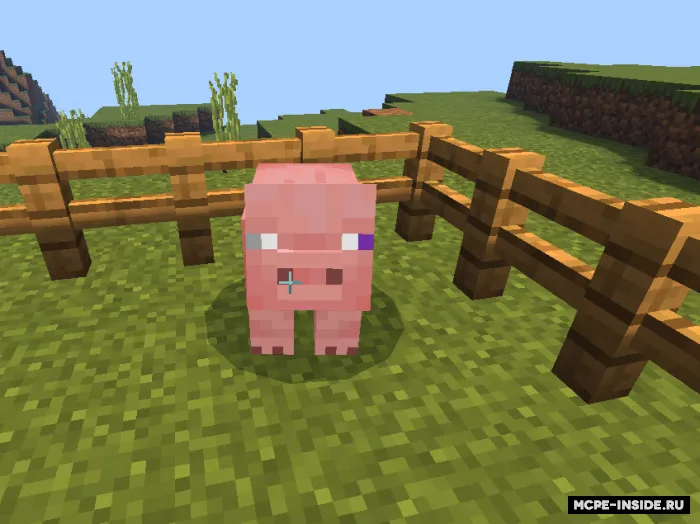 Tito'ning eng yaxshi do'sti — Minecraft mod, rasm 1