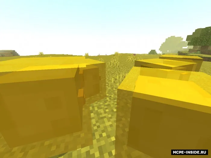 Asal kengaytmasi — Minecraft mod, rasm 4