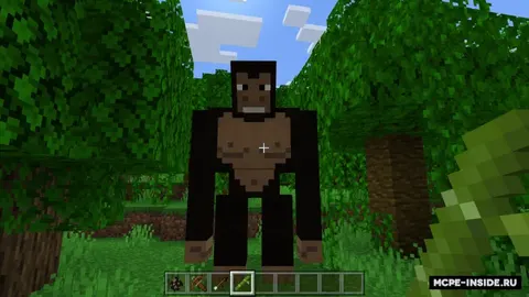 Gorillalar va maymunlar
