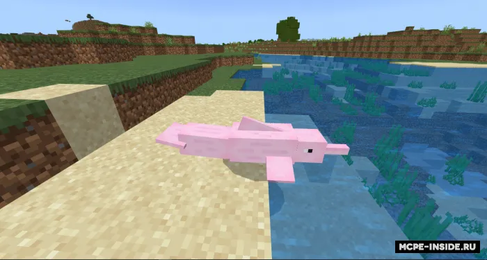 Amazonka daryosi delfini — Minecraft mod, rasm 2