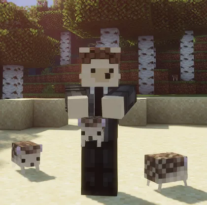 Hedgehog — Minecraft mod, rasm 1