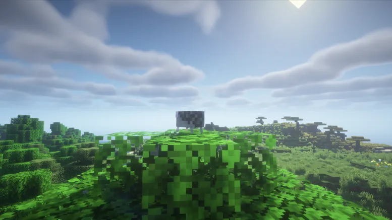 Hedgehog — Minecraft mod, rasm 2
