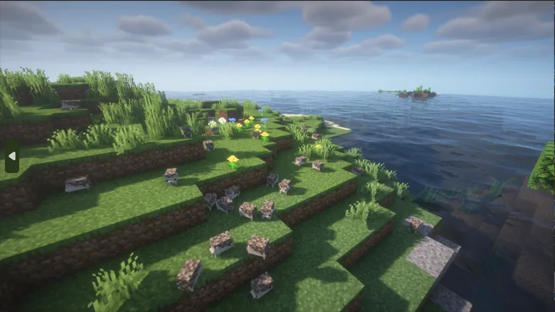Hedgehog — Minecraft mod, rasm 3