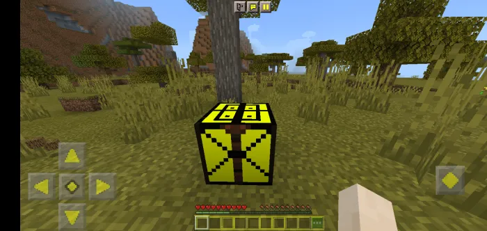 Sehrli qolip — Minecraft mod, rasm 2