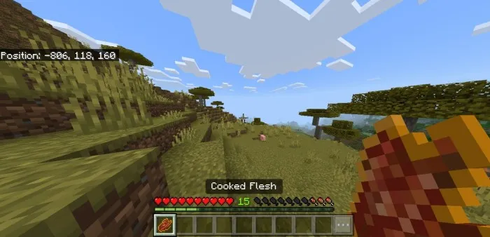 Zaharli bo'lmagan buyumlar — Minecraft mod, rasm 1
