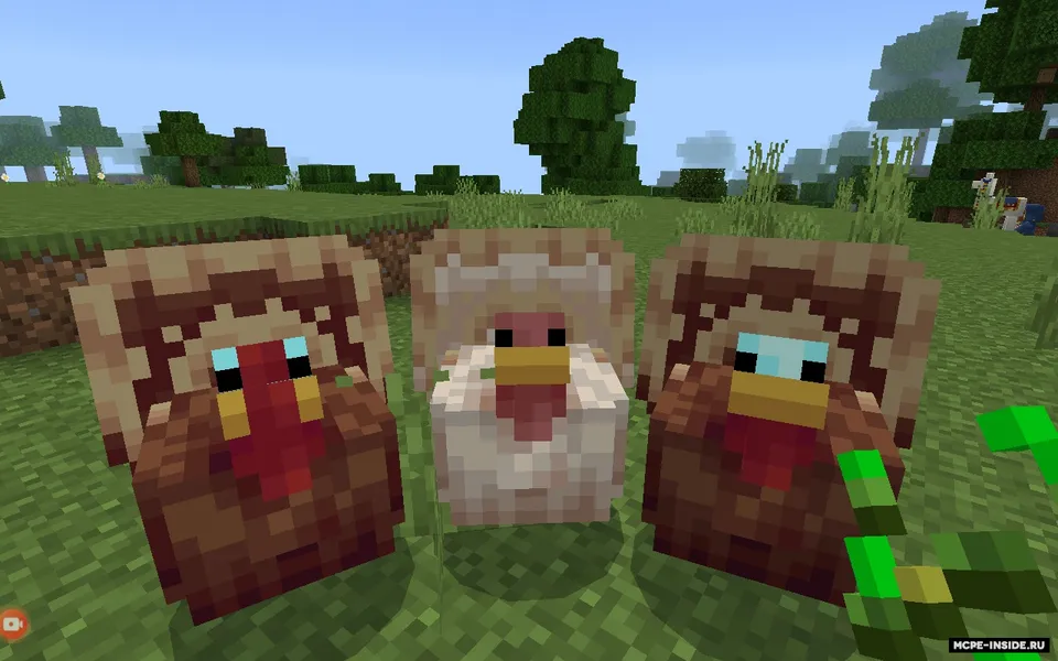 Kurka qushlar — Minecraft mod, rasm 1