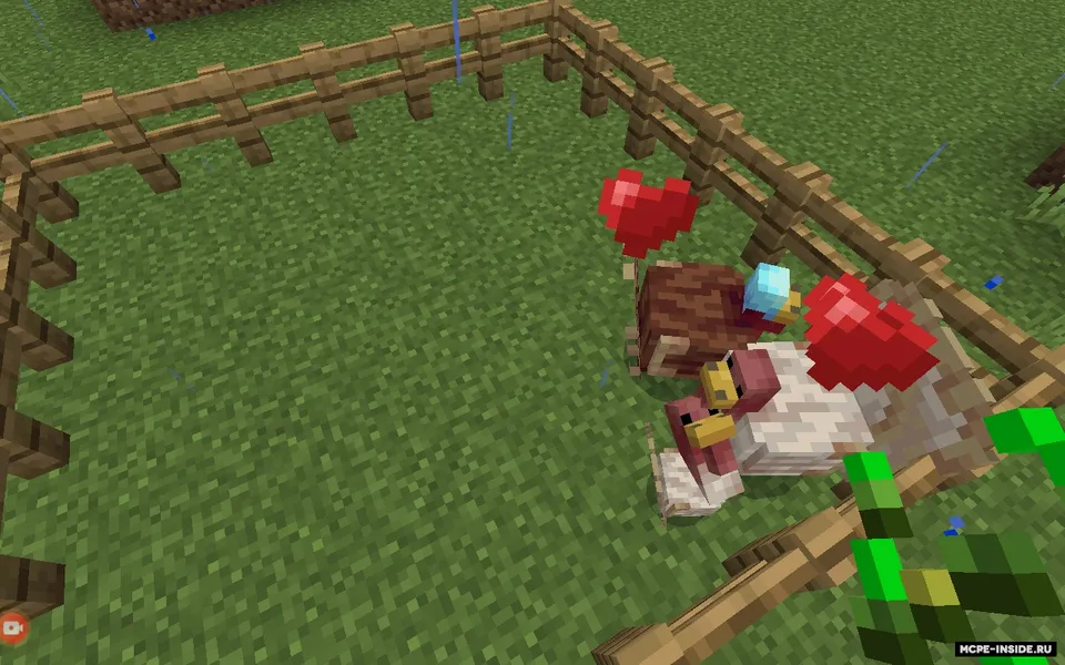 Kurka qushlar — Minecraft mod, rasm 2