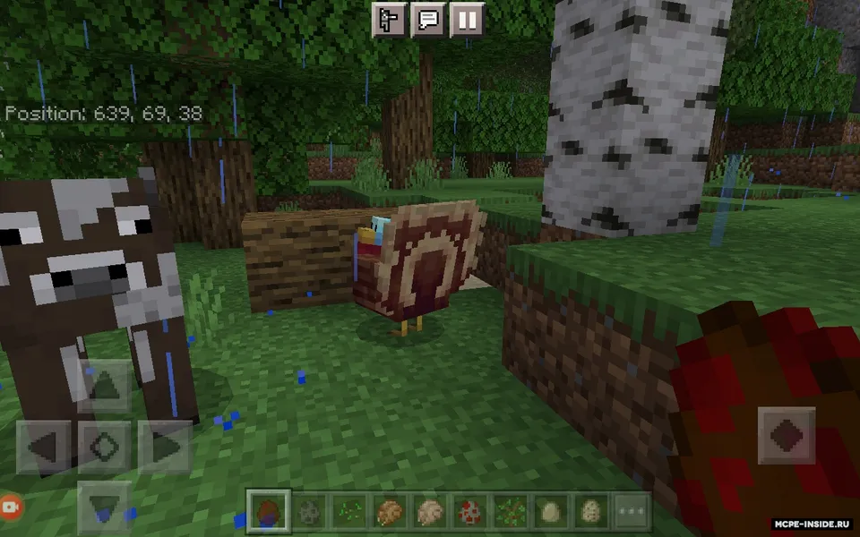 Kurka qushlar — Minecraft mod, rasm 3