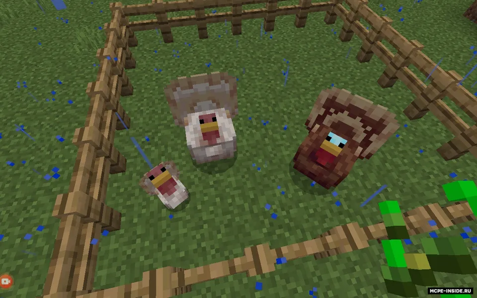 Kurka qushlar — Minecraft mod, rasm 4