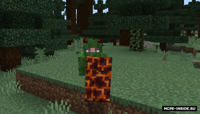 Rayan ko'proq qalqonlar — Minecraft mod, rasm 2