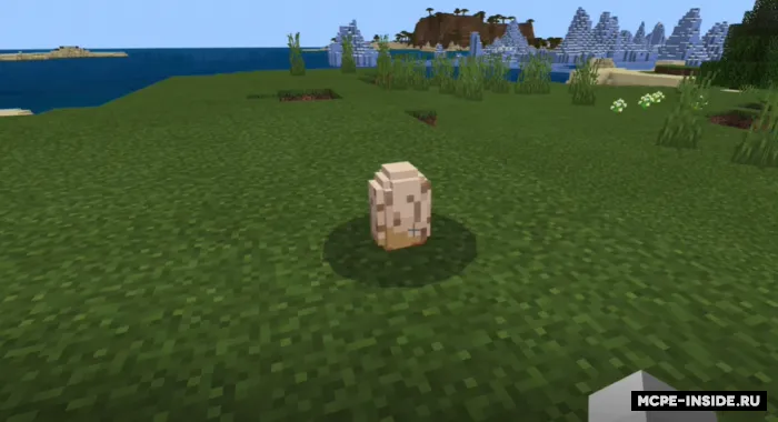 Mainland loyihasi — Minecraft mod, rasm 2