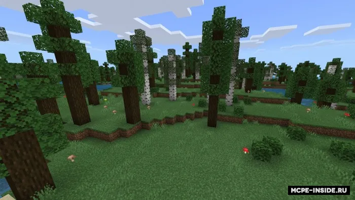 Juda ko'p biomlar — Minecraft mod, rasm 3