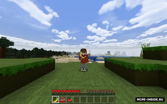 Ko'proq yeyiladigan buyumlar — Minecraft mod, rasm 1