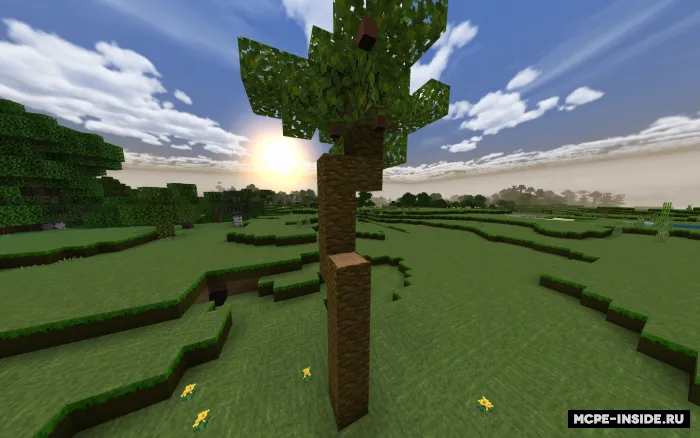 Ko'proq yeyiladigan buyumlar — Minecraft mod, rasm 2