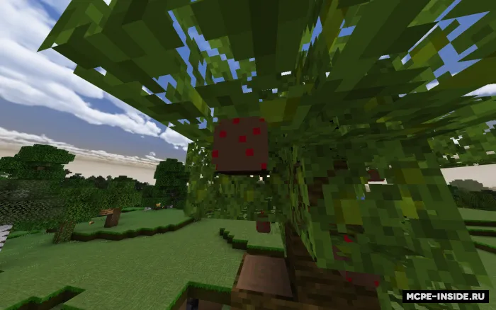 Ko'proq yeyiladigan buyumlar — Minecraft mod, rasm 3