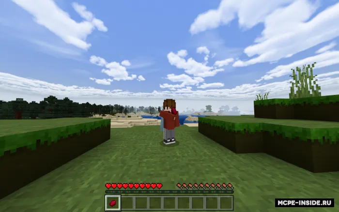 Ko'proq yeyiladigan buyumlar — Minecraft mod, rasm 4