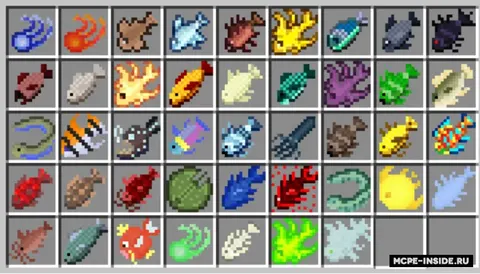 Ilg'or baliq ovlash 2