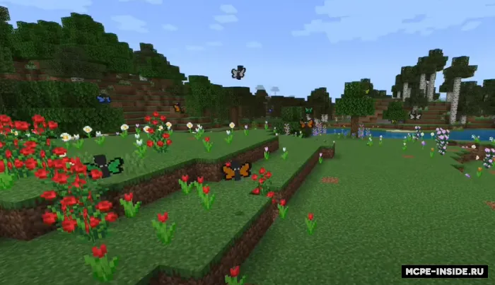 Hayot yangilanishi — Minecraft mod, rasm 2