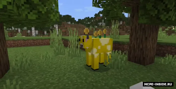 Hayot yangilanishi — Minecraft mod, rasm 3
