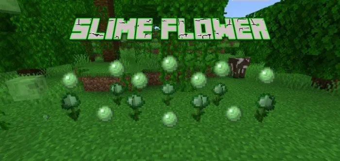 Shilimshiq gul — Minecraft mod, rasm 1