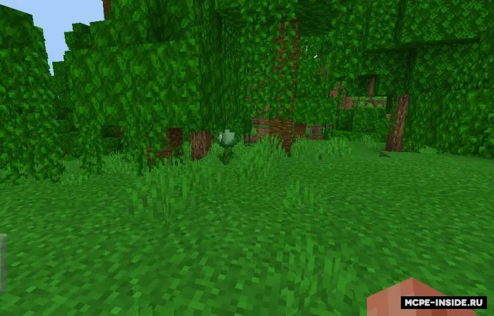 Shilimshiq gul — Minecraft mod, rasm 2