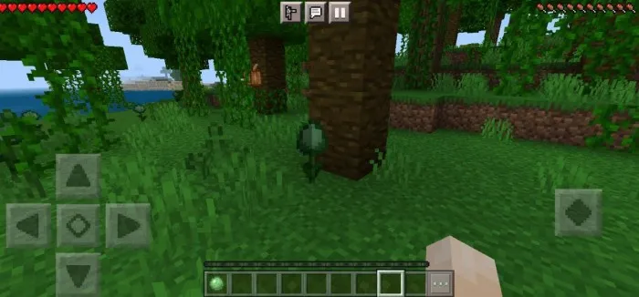 Shilimshiq gul — Minecraft mod, rasm 3