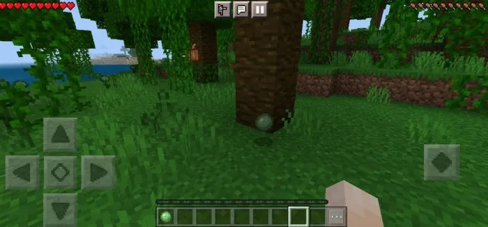 Shilimshiq gul — Minecraft mod, rasm 4
