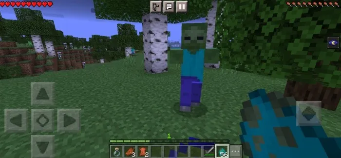 Zombidan olingan teri — Minecraft mod, rasm 2
