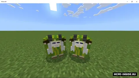 Watamelon