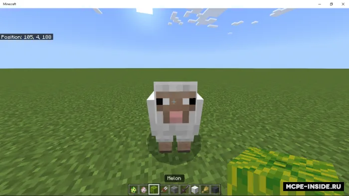 Watamelon — Minecraft mod, rasm 2