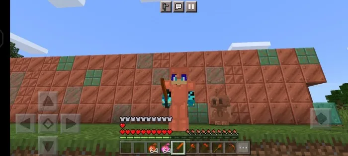 Mis kengaytmasi — Minecraft mod, rasm 2