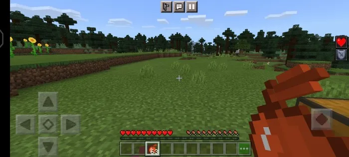 Mis kengaytmasi — Minecraft mod, rasm 3