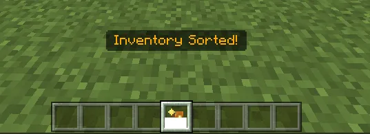O'yinchi inventar saralovchisi — Minecraft mod, rasm 1