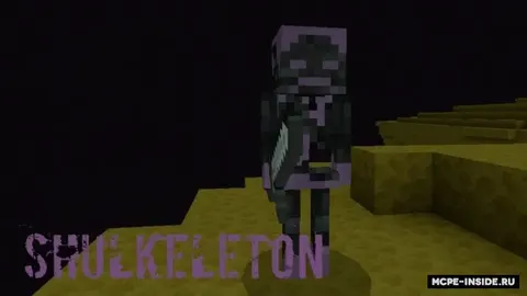 Skeleplus