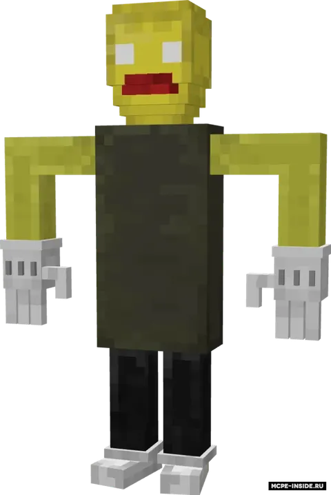 Baldi asoslari