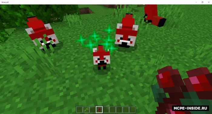 Qizil panda — Minecraft mod, rasm 4