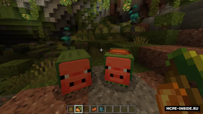 Zaytun cho'chqasi — Minecraft mod, rasm 3