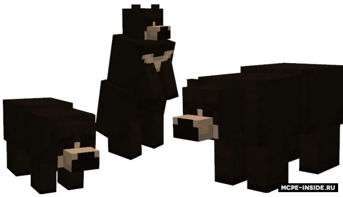 Qora va grizzly ayiqlari — Minecraft mod, rasm 1