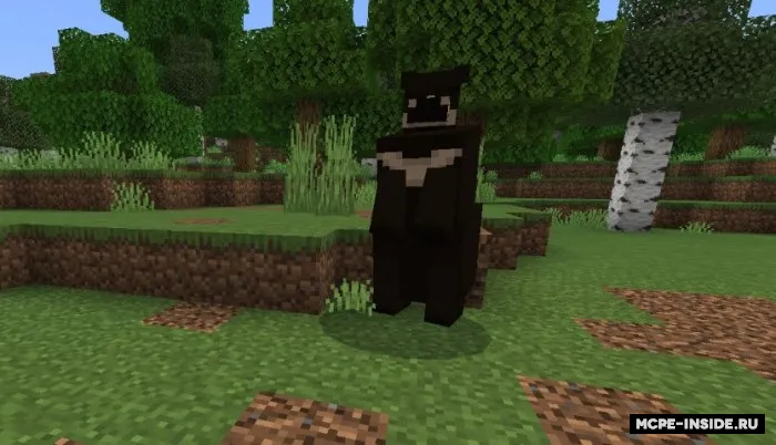 Qora va grizzly ayiqlari — Minecraft mod, rasm 3