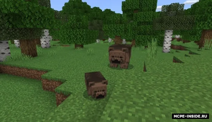 Qora va grizzly ayiqlari — Minecraft mod, rasm 4
