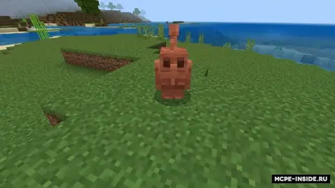 Mis golem konsepti