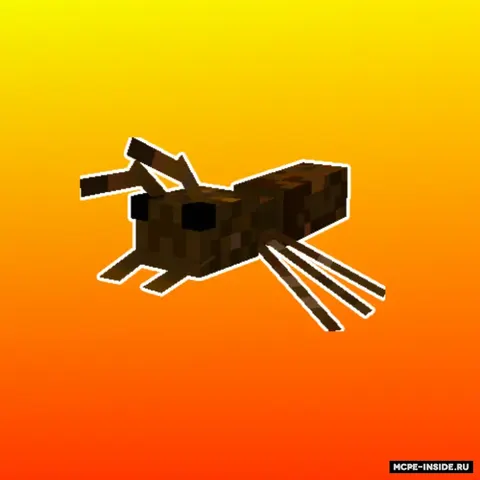 Bo'g'imoyoqlilar