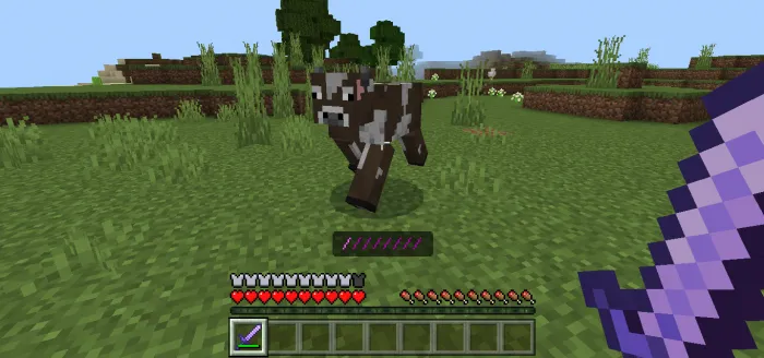 Reyon asboblari kengaytmasi — Minecraft mod, rasm 2